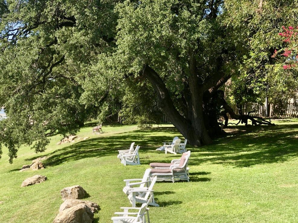 grassy area by the water